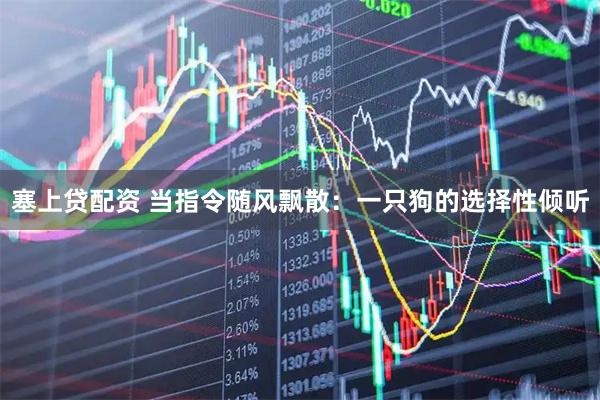 塞上贷配资 当指令随风飘散：一只狗的选择性倾听