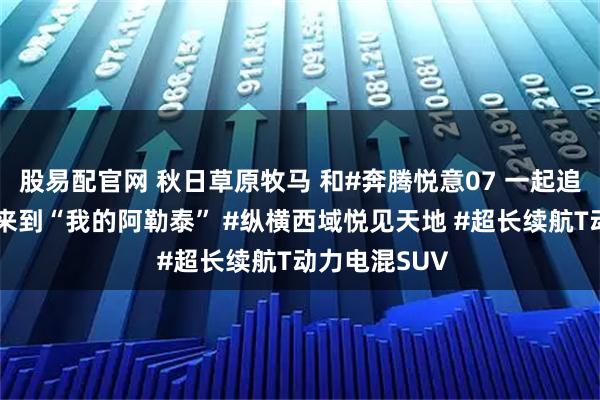 股易配官网 秋日草原牧马 和#奔腾悦意07 一起追逐自由 欢迎来到“我的阿勒泰” #纵横西域悦见天地 #超长续航T动力电混SUV
