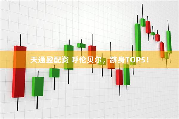 天通盈配资 呼伦贝尔，跻身TOP5！