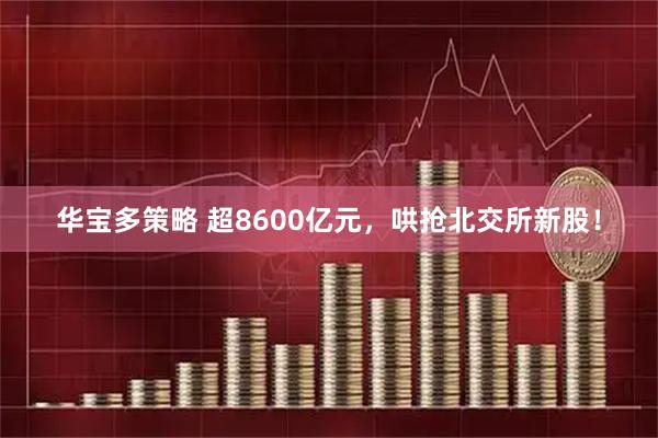 华宝多策略 超8600亿元，哄抢北交所新股！