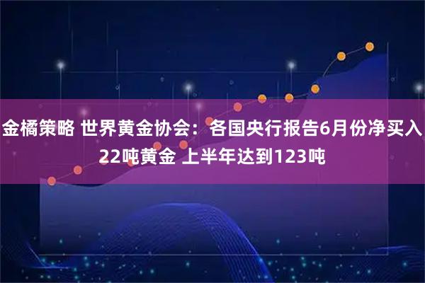 金橘策略 世界黄金协会：各国央行报告6月份净买入22吨黄金 上半年达到123吨